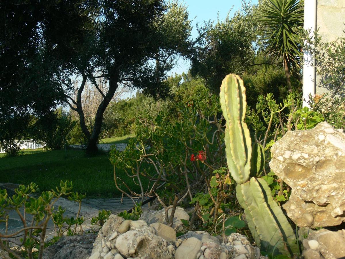 Villa Quietude Agios Stefanos Avliotes  Oda fotoğraf
