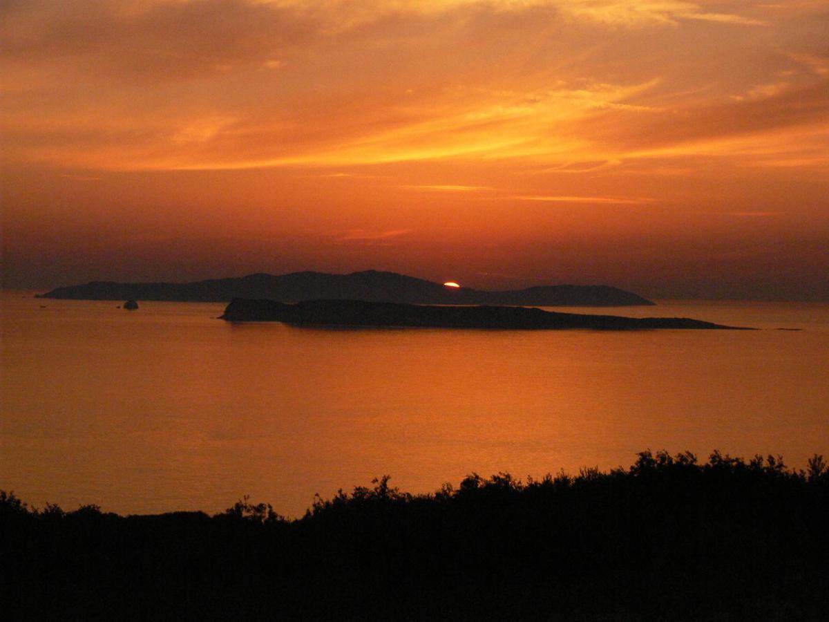 Villa Quietude Agios Stefanos Avliotes  Dış mekan fotoğraf